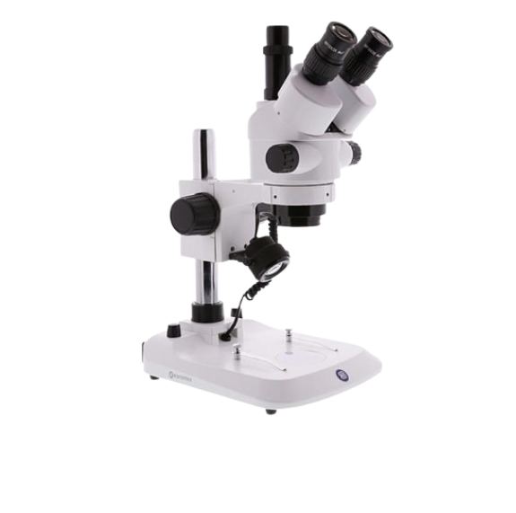 Estetoscopio trinocular